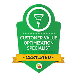 Customer Value Optimization Specialist 250